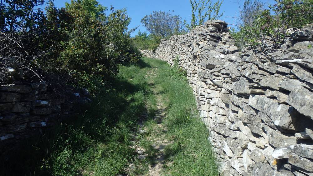 randonnee decouverte du causse bedarieux 01
