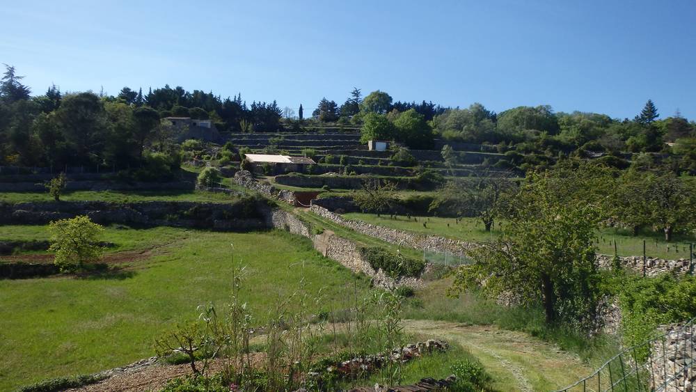 randonnee decouverte du causse bedarieux 03