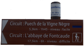 panneau puech vigne negre