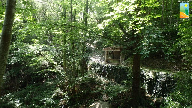 4-vtt-lamalou-circuit-2