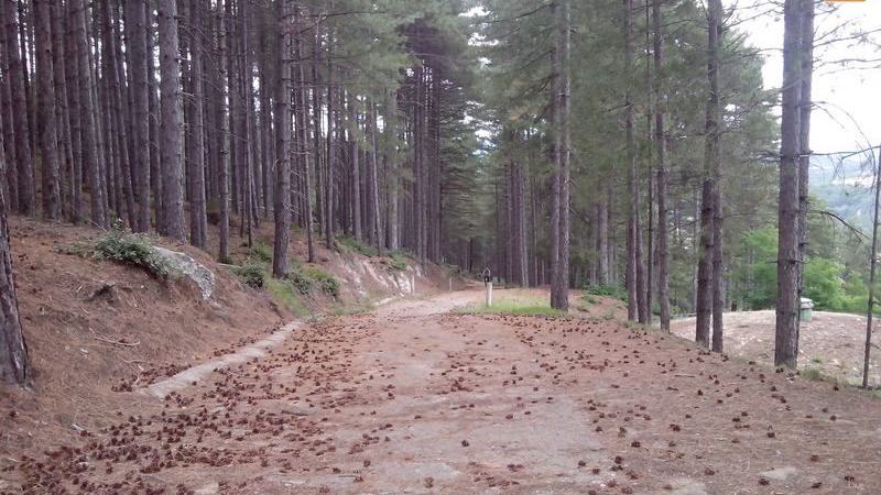 circuit 1 vtt lamalou 04
