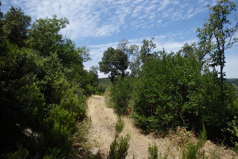 circuit-14-babeau-bouldou-02