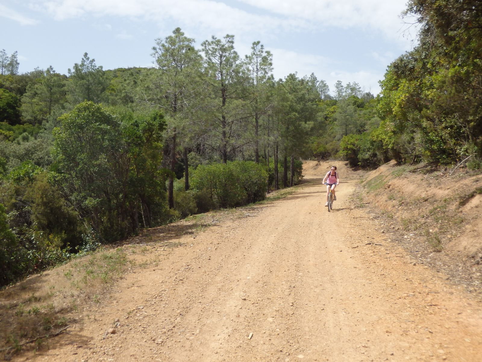 vtt-cessenon-eucalyptus-02